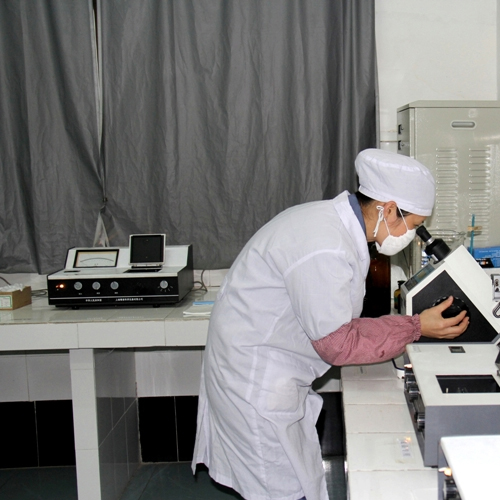 企業(yè)風(fēng)采